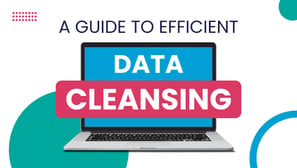 A Guide To Efficient Data Cleansing