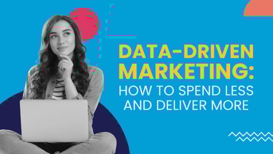 Data Driven Marketing - How to Spend Less and Deliver More