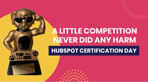 Six & Flow HubSpot Certification Day
