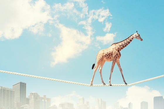 Image of giraffe walking on rope high in sky