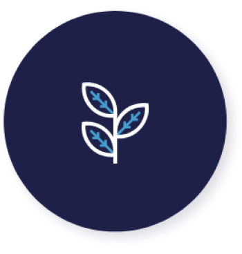 growth-icon